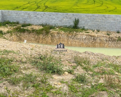 Chácara, 3 quartos - Foto 4