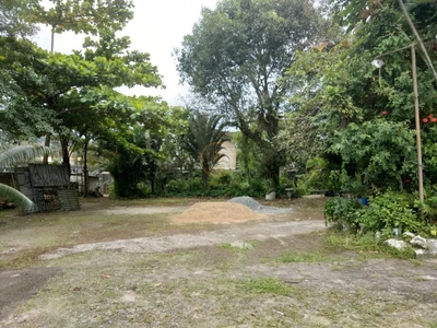 Terreno, 3000 m² - Foto 3
