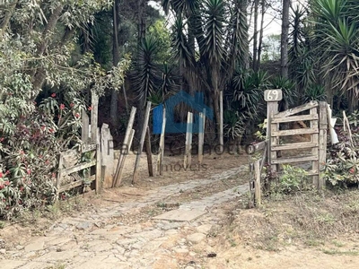 Terreno, 2 hectares - Foto 2