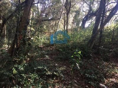 Terreno, 1300 m² - Foto 5