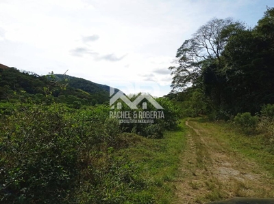 Fazenda-Sítio-Chácara, 21 m² - Foto 4