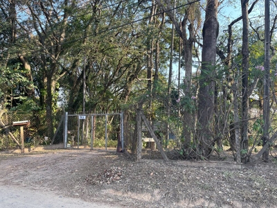 Terreno, 2625 m² - Foto 2