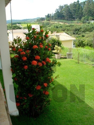 Casa, 3 quartos, 478 m² - Foto 5