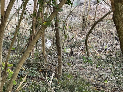 Loteamento e Condomínio, 7322 m² - Foto 3