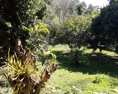 Casa, 3 quartos, 340 m² - Foto 4