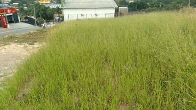 Loteamento e Condomínio, 500 m² - Foto 5