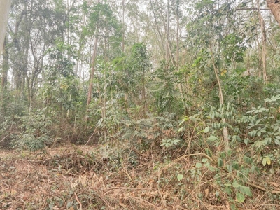 Terreno, 1901 m² - Foto 5