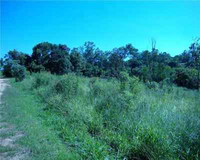 Terreno, 3 hectares - Foto 5