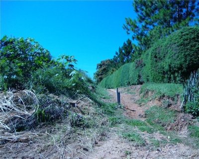 Terreno, 3 hectares - Foto 4