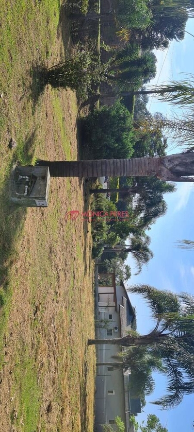 Terreno, 3540 m² - Foto 4