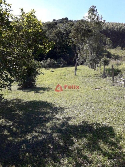 Chácara, 2 quartos, 7 hectares - Foto 1