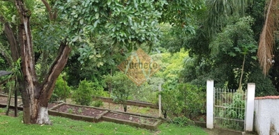 Chácara, 2 quartos, 1205 m² - Foto 4