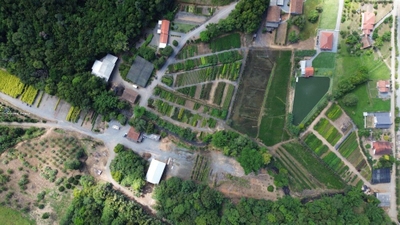 Terreno, 9 hectares - Foto 4