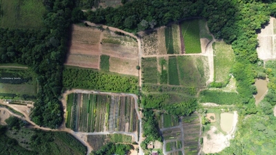 Terreno, 9 hectares - Foto 2