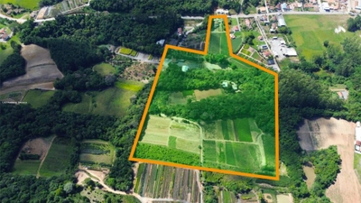 Terreno, 9 hectares - Foto 1