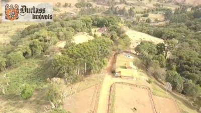 Fazenda-Sítio-Chácara, 69 hectares - Foto 3