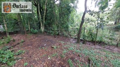 Chácara, 4 quartos, 8000 m² - Foto 2