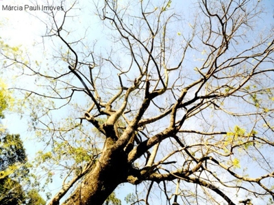 Terreno, 1050 m² - Foto 2