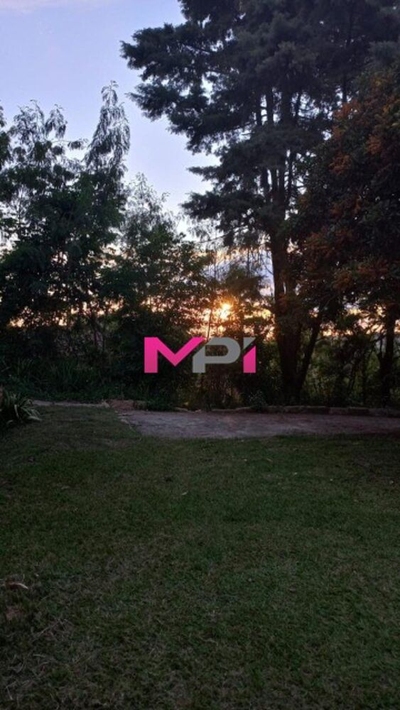 Chácara, 6 quartos, 3000 m² - Foto 4