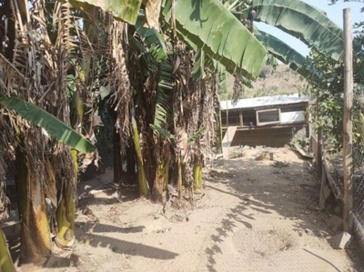 Terreno, 470 m² - Foto 3