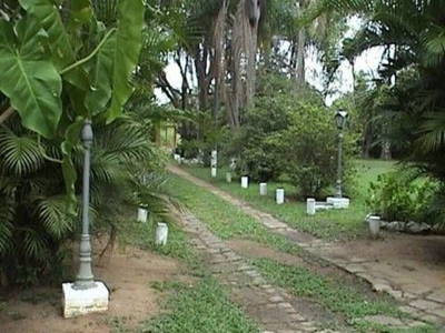 Terreno, 10000 m² - Foto 5