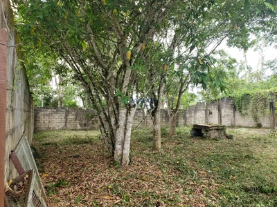 Terreno, 1032 m² - Foto 3