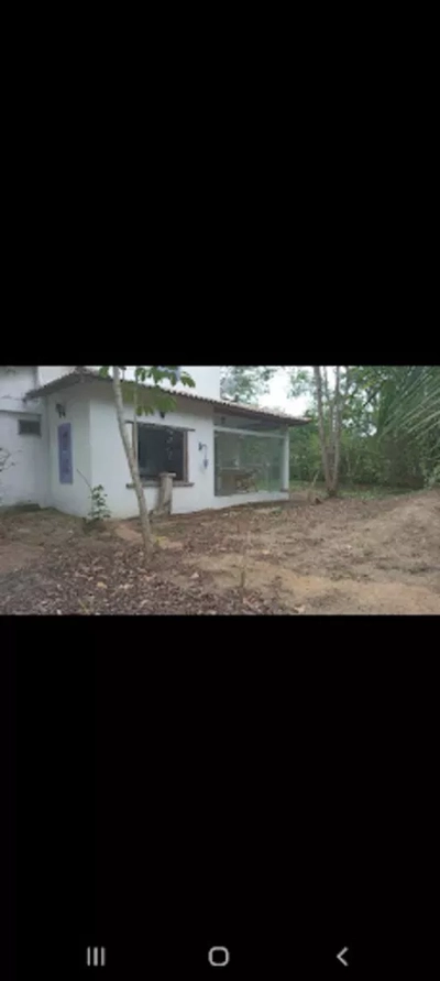 Sítio, 2 quartos, 5000 m² - Foto 1