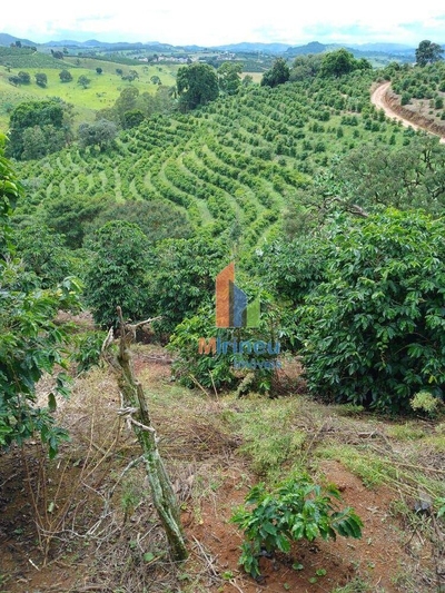 Sítio, 22 hectares - Foto 2