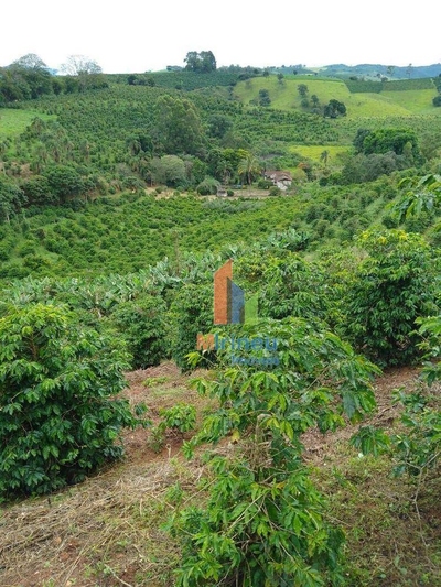 Sítio, 22 hectares - Foto 1