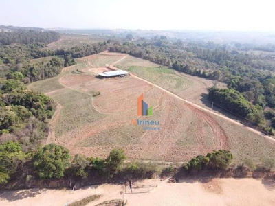 Sítio, 10 hectares - Foto 4