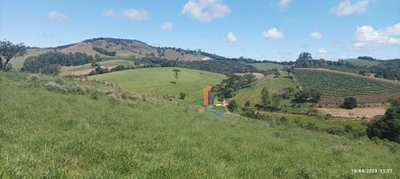 Sítio, 13 hectares - Foto 2