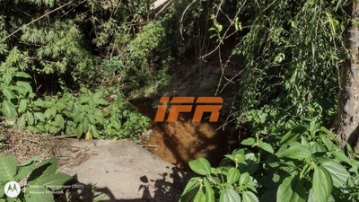 Sítio, 4 quartos, 31 hectares - Foto 4