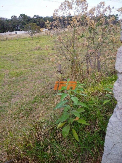 Terreno, 2200 m² - Foto 2