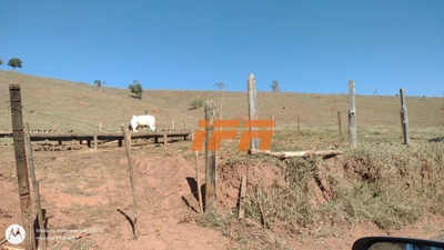 Fazenda-Sítio-Chácara, 99 hectares - Foto 3
