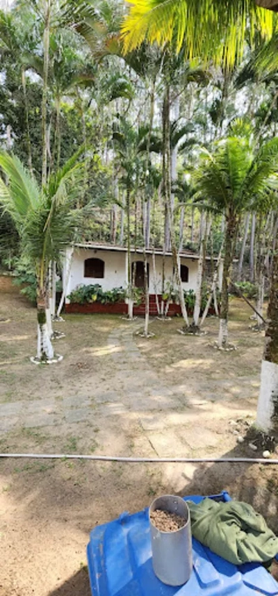 Sítio, 4 quartos, 2 hectares - Foto 3