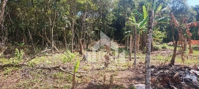 Terreno, 1000 m² - Foto 1