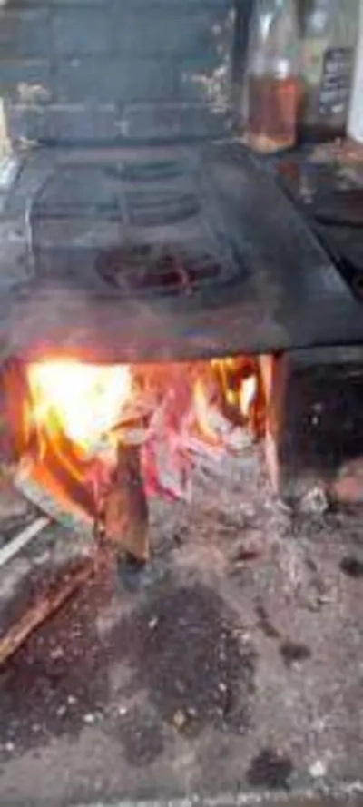 Sítio, 1 quarto, 1050 m² - Foto 3