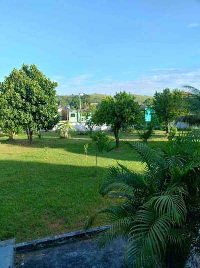 Chácara, 5 quartos, 2600 m² - Foto 3