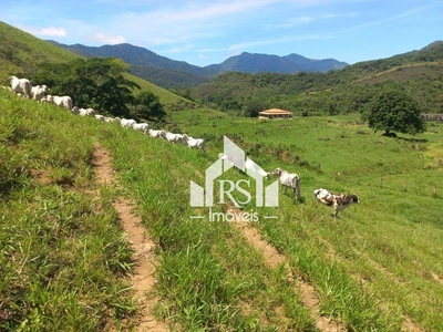 Fazenda-Sítio-Chácara, 256 hectares - Foto 3