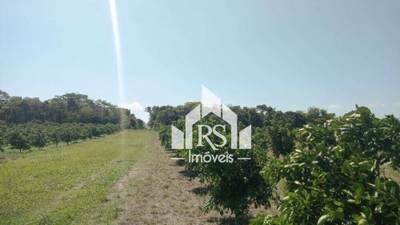 Sítio, 3 quartos, 100 hectares - Foto 4