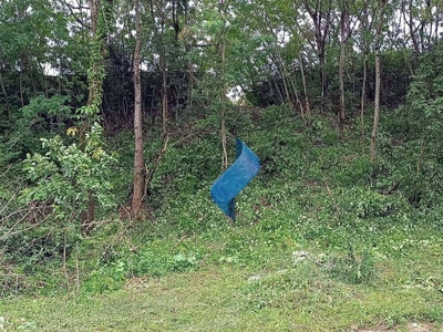 Terreno, 3 hectares - Foto 5