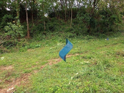 Terreno, 3 hectares - Foto 3