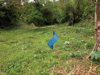 Terreno, 3 hectares - Foto 2