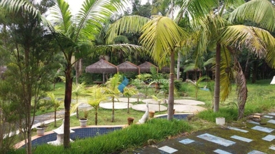 Sítio, 2 hectares - Foto 2