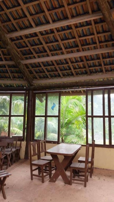 Sítio, 2 hectares - Foto 5