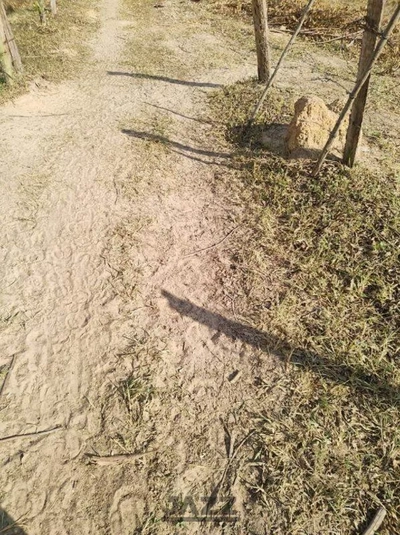 Prédio Inteiro - Foto 5