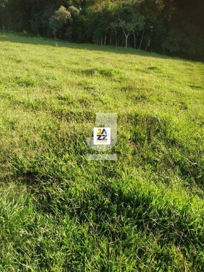 Sítio, 25509 m² - Foto 4