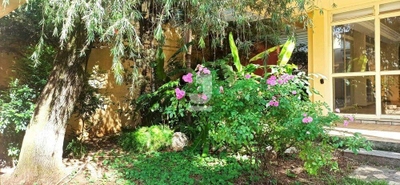 Casa, 2 quartos, 622 m² - Foto 1