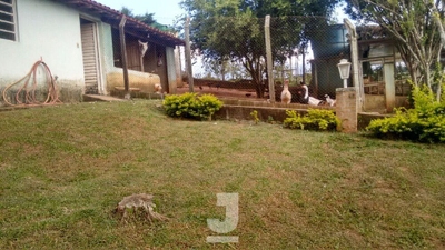 Chácara, 3 quartos, 5292 m² - Foto 4