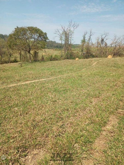 Prédio Inteiro - Foto 4